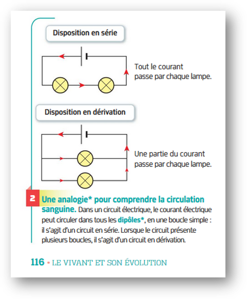 Chapitre 4 Partie 1 Learning Georges 1739